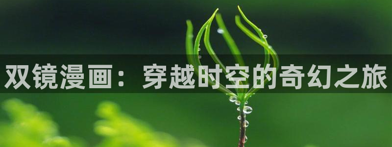 拷备漫画：双镜漫画：穿越时空的奇幻之旅