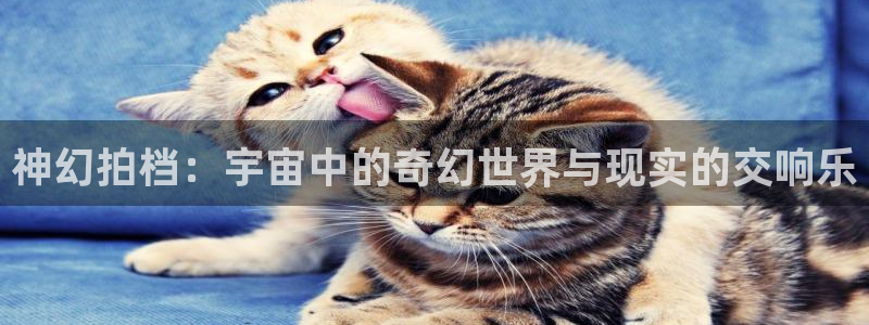 拷贝漫画网站入口：神幻拍档：宇宙中的奇幻世界与现实的交响乐