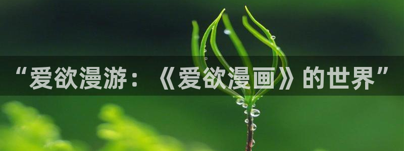 拷贝漫画2.25：“爱欲漫游：《爱欲漫画》的世界”