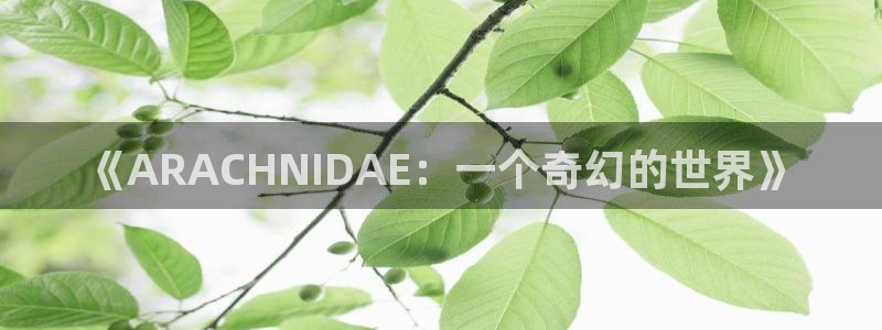 拷贝漫画正版下载：《ARACHNIDAE：一个奇幻的世界》