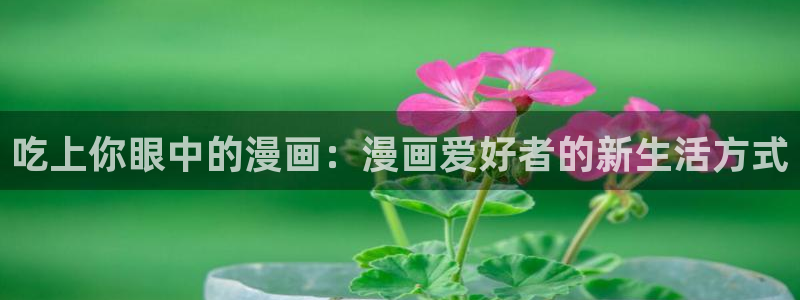 拷贝漫画2.0.4：吃上你眼中的漫画：漫画爱好者的新生活方式